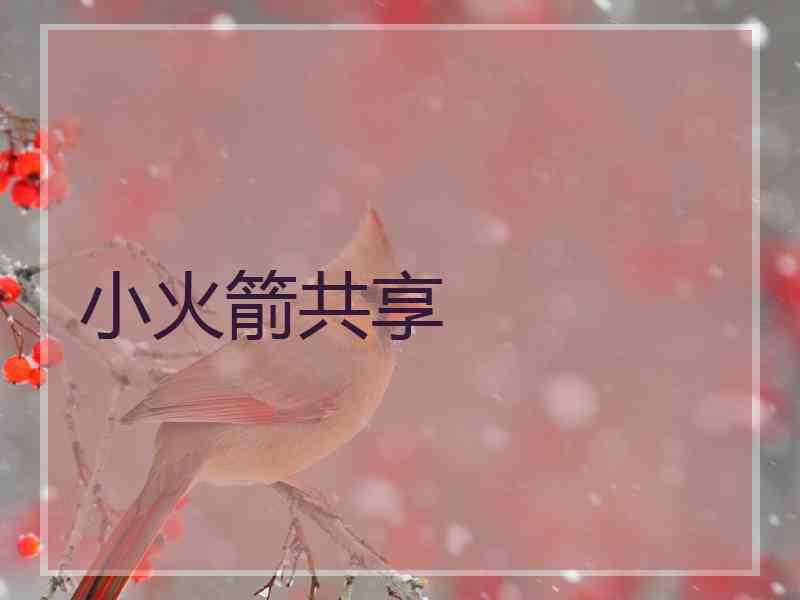 小火箭共享