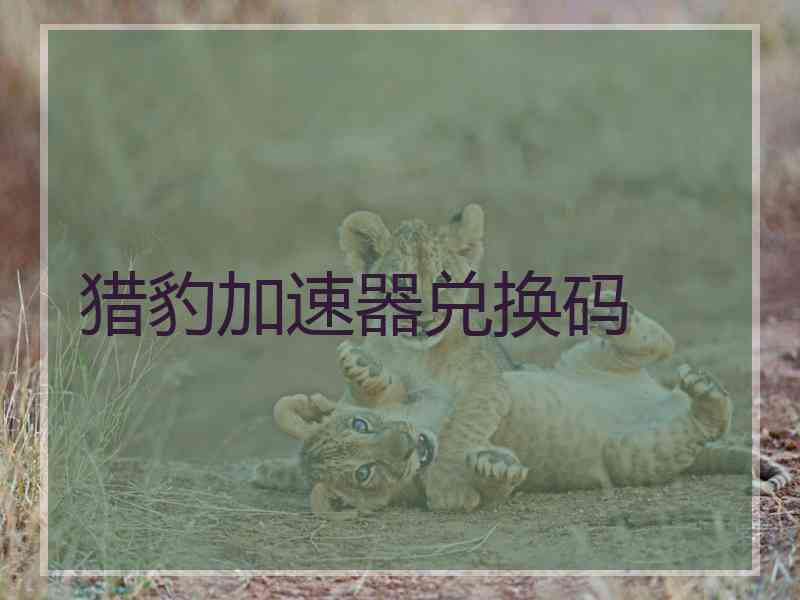 猎豹加速器兑换码