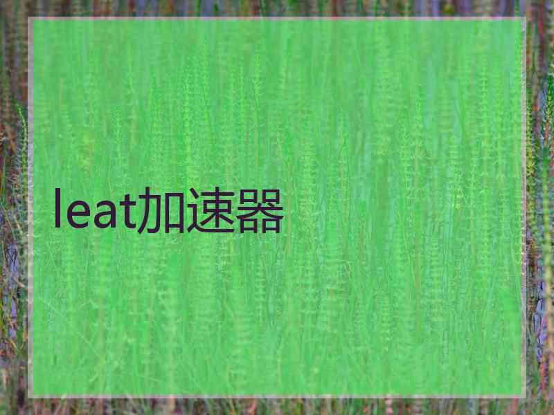 leat加速器