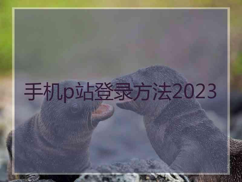 手机p站登录方法2023