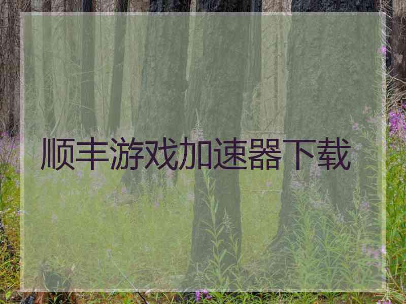 顺丰游戏加速器下载