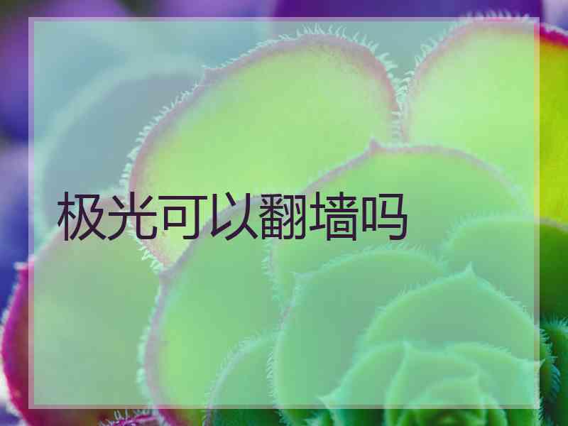 极光可以翻墙吗