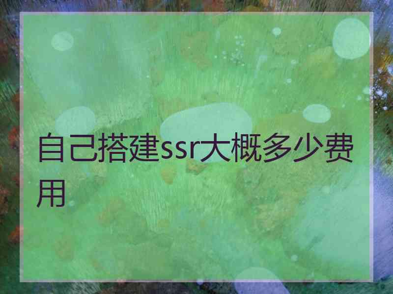 自己搭建ssr大概多少费用