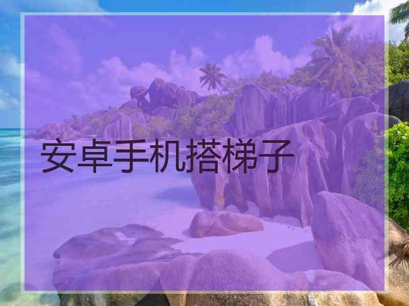 安卓手机搭梯子