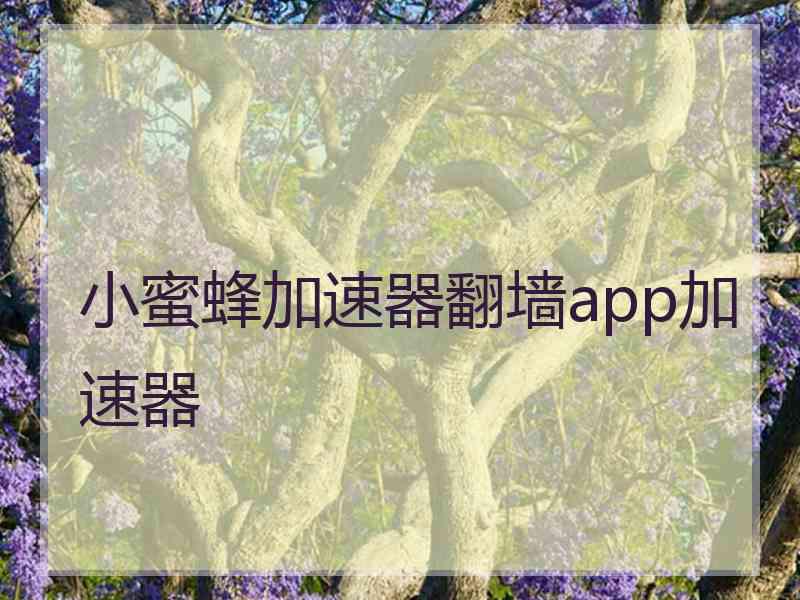 小蜜蜂加速器翻墙app加速器