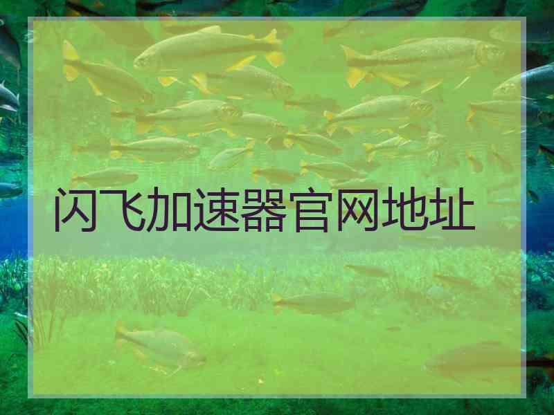 闪飞加速器官网地址