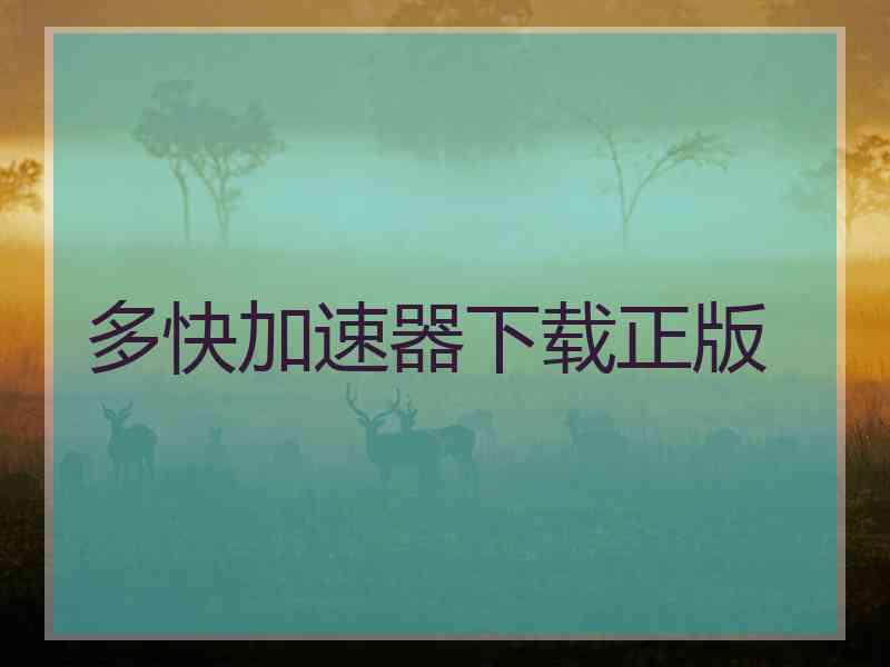 多快加速器下载正版
