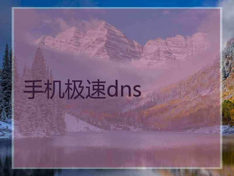 手机极速dns