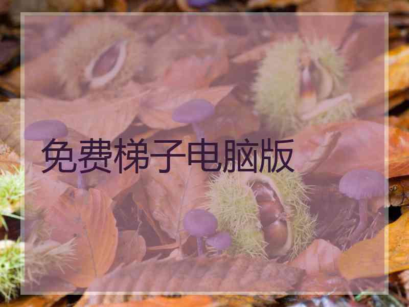 免费梯子电脑版