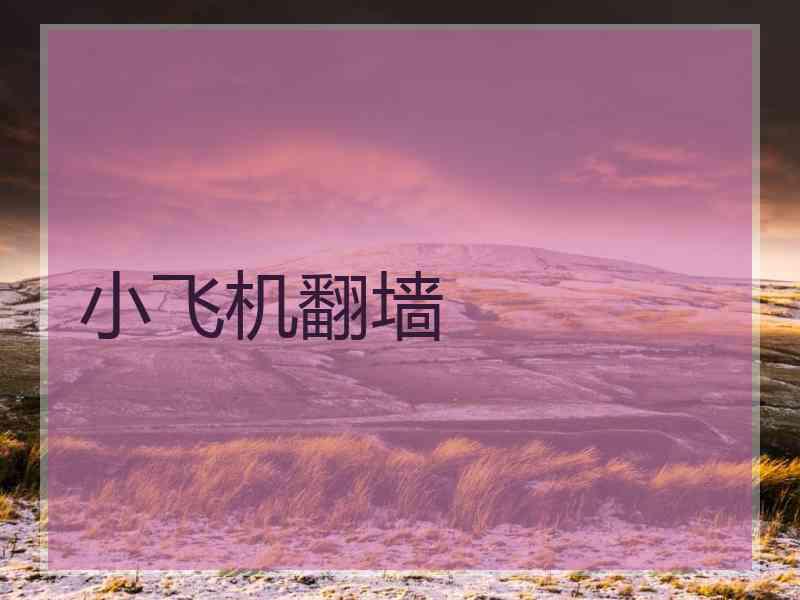 小飞机翻墙