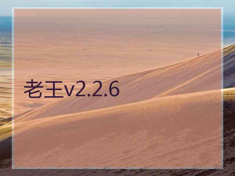 老王v2.2.6