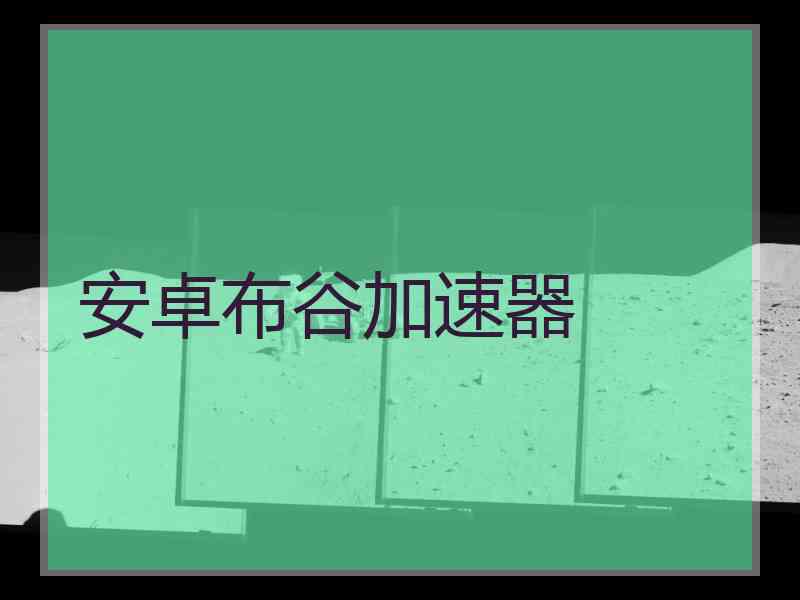 安卓布谷加速器