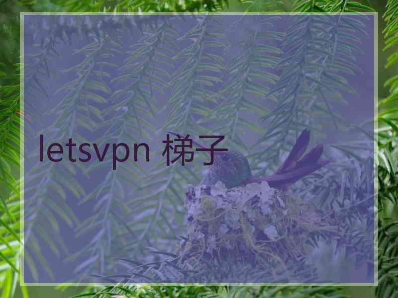 letsvpn 梯子