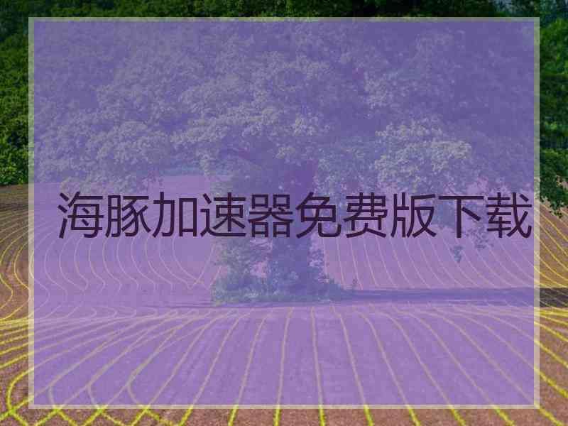 海豚加速器免费版下载