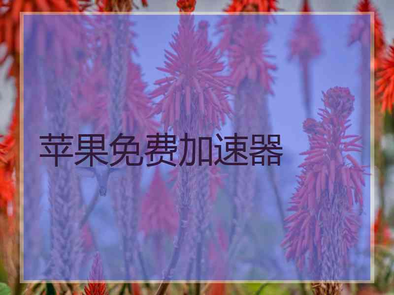 苹果免费加速器