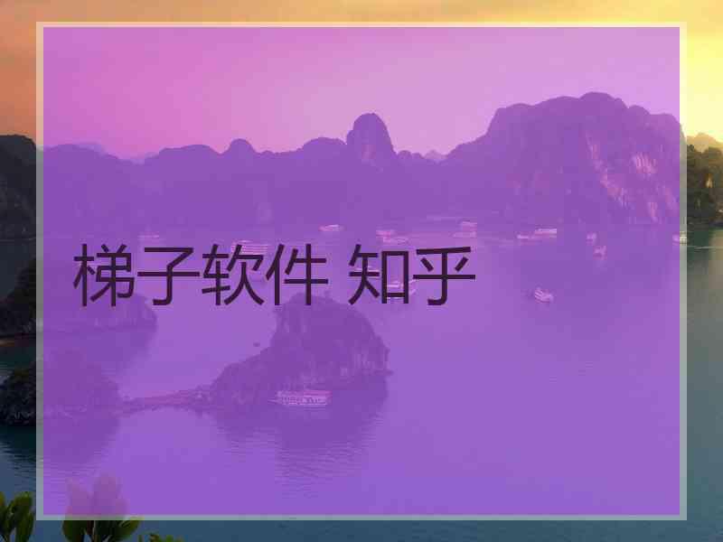 梯子软件 知乎