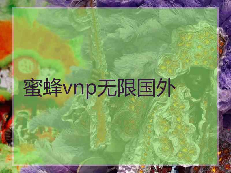 蜜蜂vnp无限国外