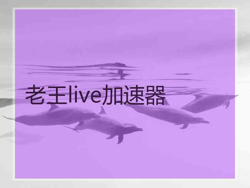 老王live加速器
