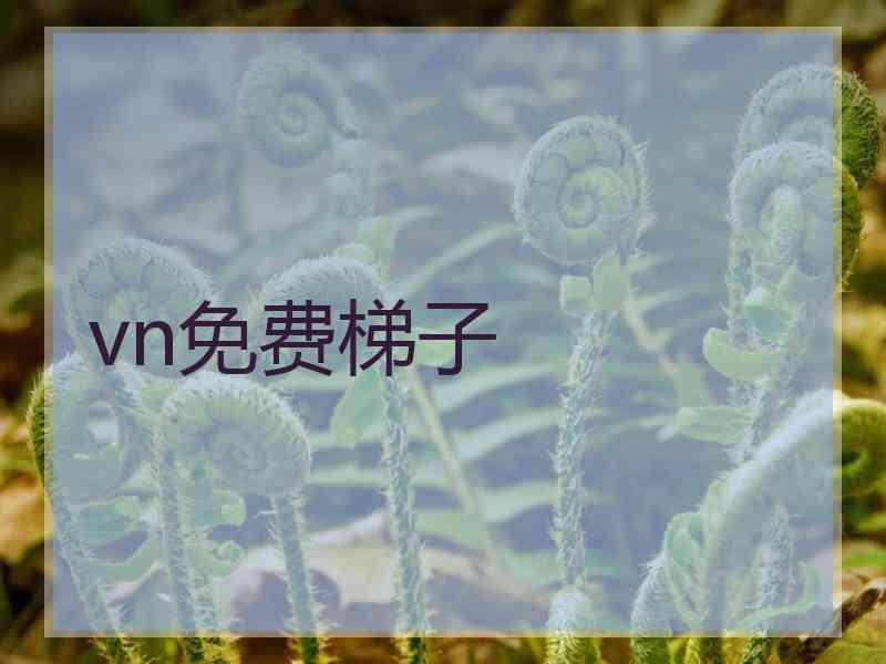 vn免费梯子