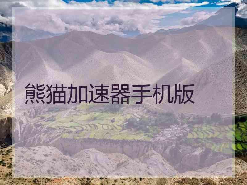 熊猫加速器手机版