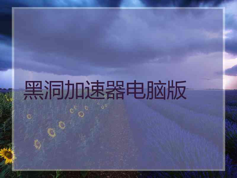 黑洞加速器电脑版
