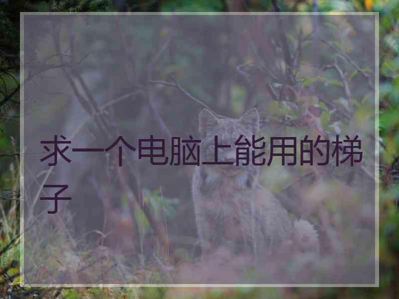 求一个电脑上能用的梯子
