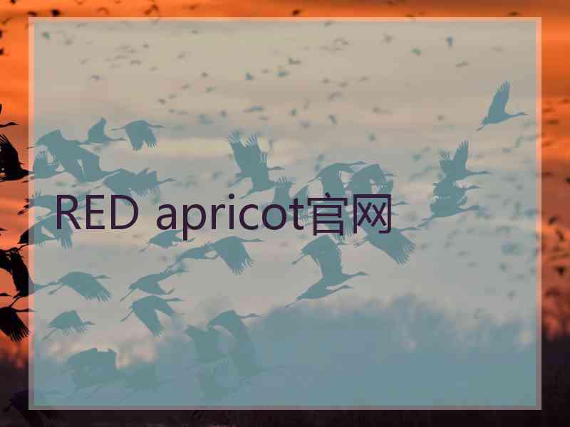 RED apricot官网