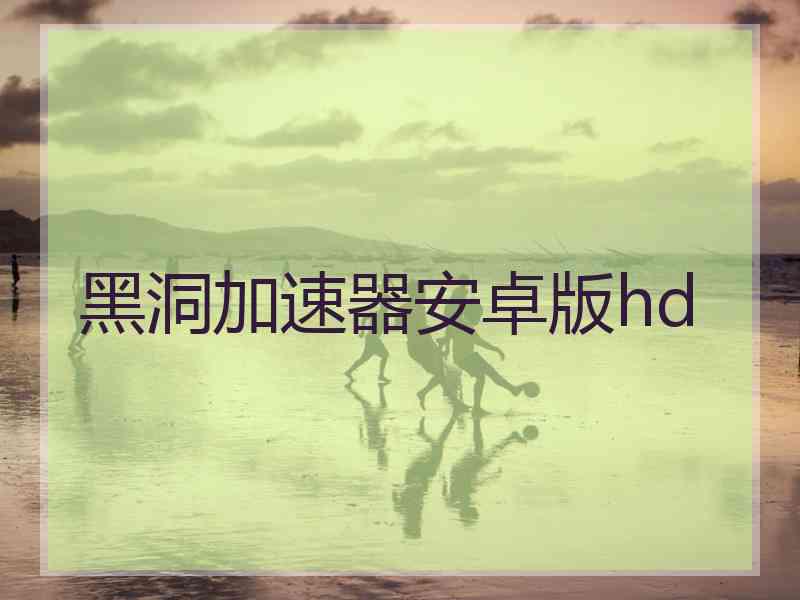 黑洞加速器安卓版hd