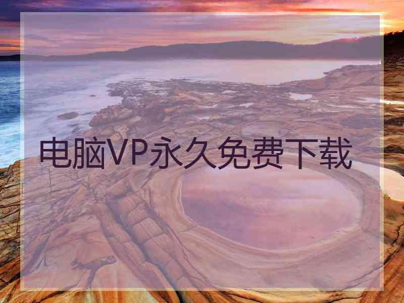 电脑VP永久免费下载