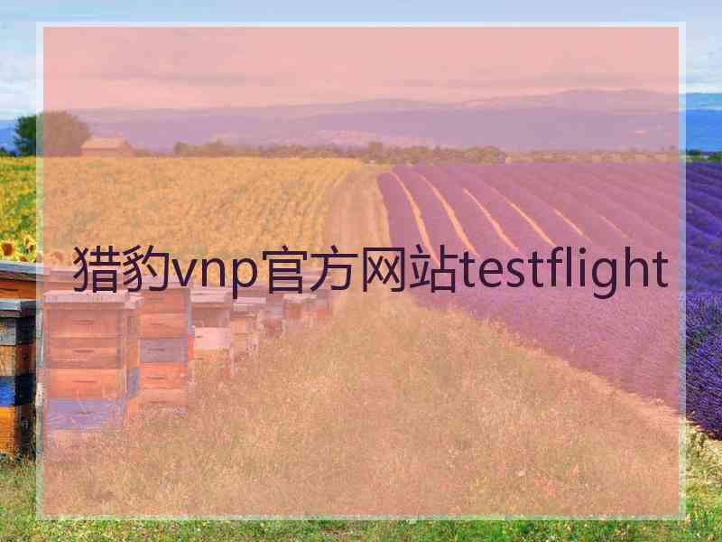 猎豹vnp官方网站testflight