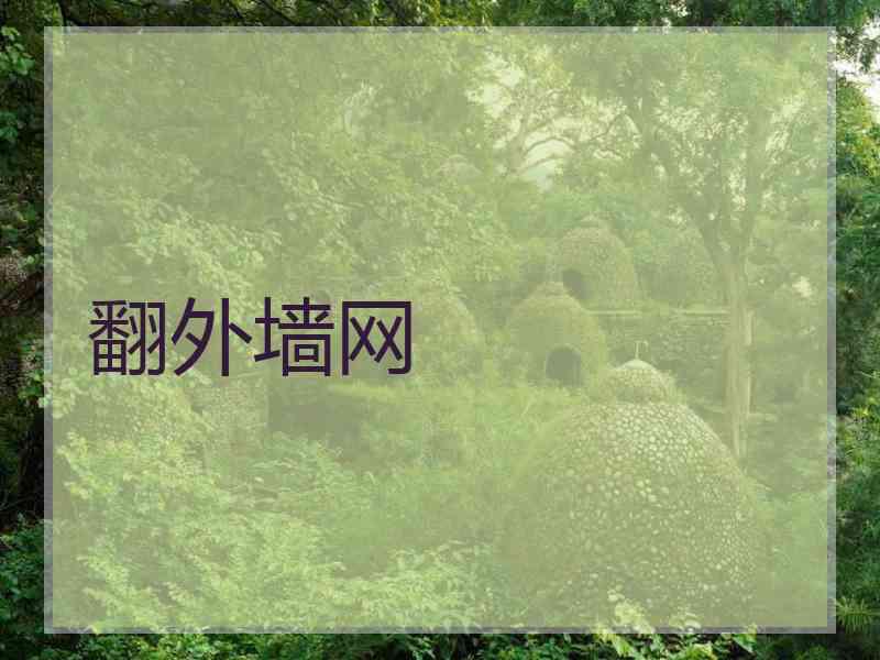 翻外墙网