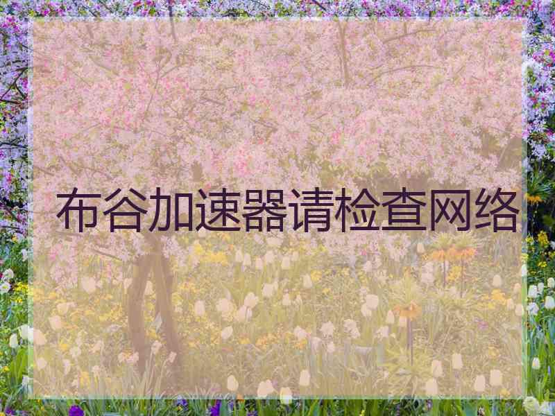 布谷加速器请检查网络