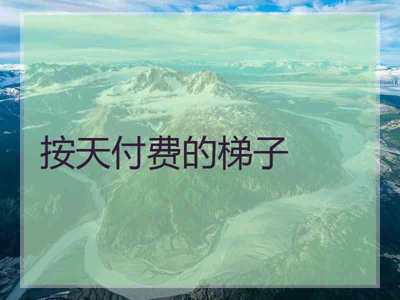 按天付费的梯子