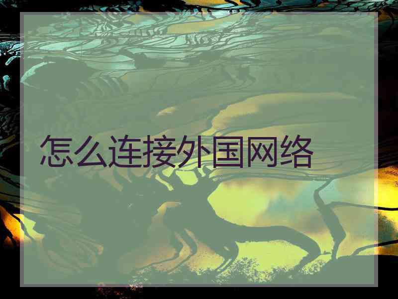 怎么连接外国网络