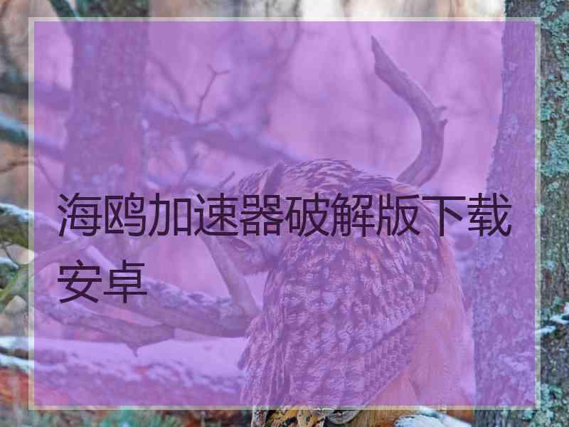 海鸥加速器破解版下载安卓
