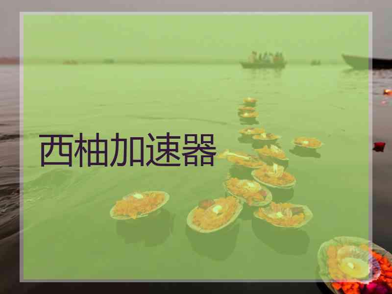 西柚加速器