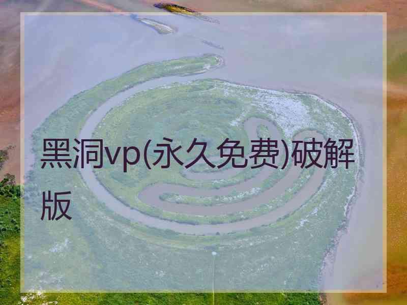 黑洞vp(永久免费)破解版