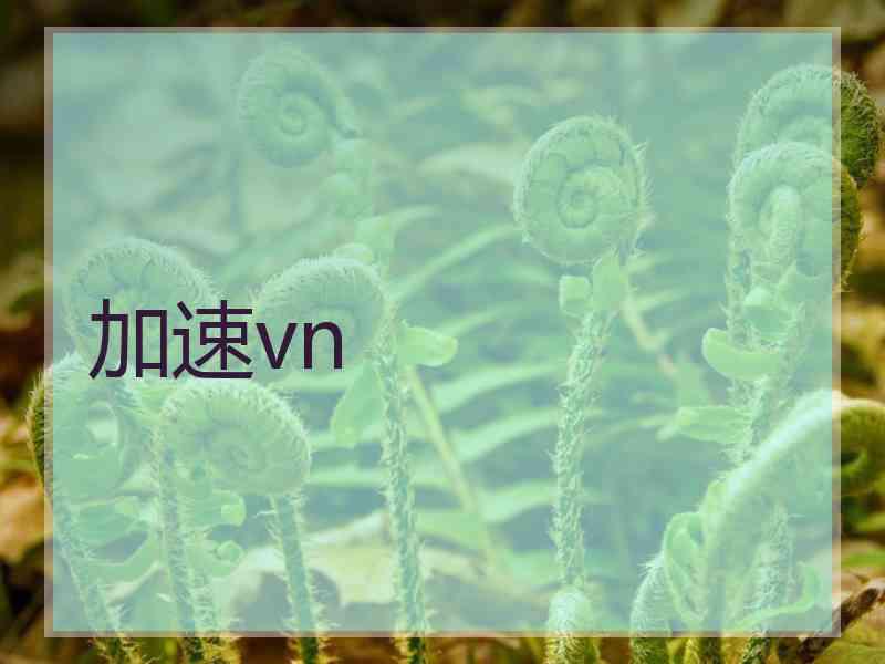 加速vn