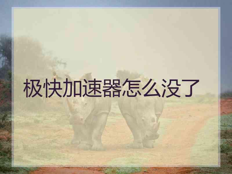极快加速器怎么没了