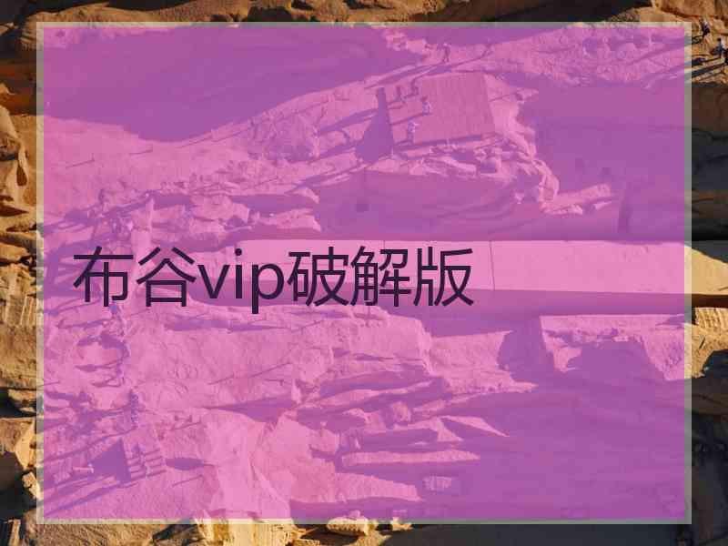 布谷vip破解版