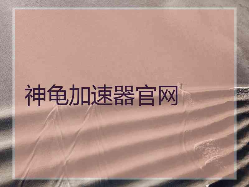 神龟加速器官网