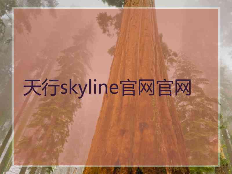 天行skyline官网官网