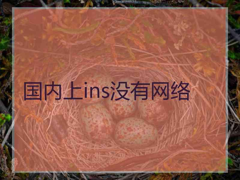 国内上ins没有网络