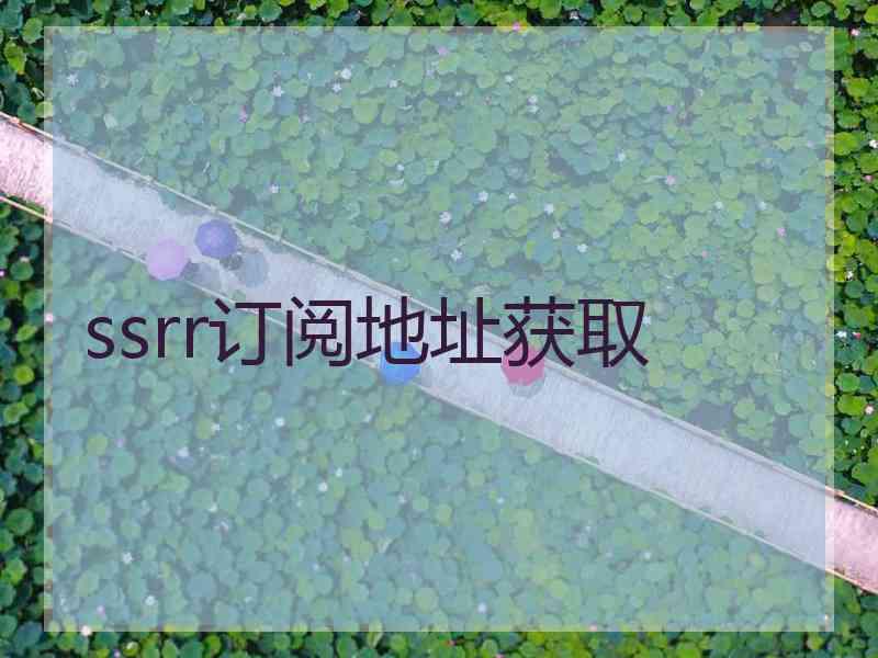 ssrr订阅地址获取