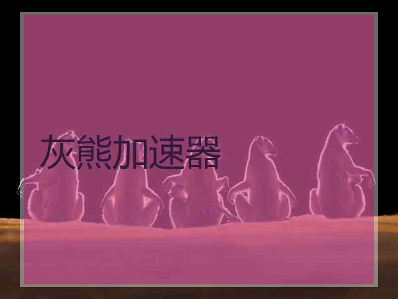 灰熊加速器