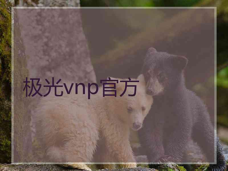 极光vnp官方
