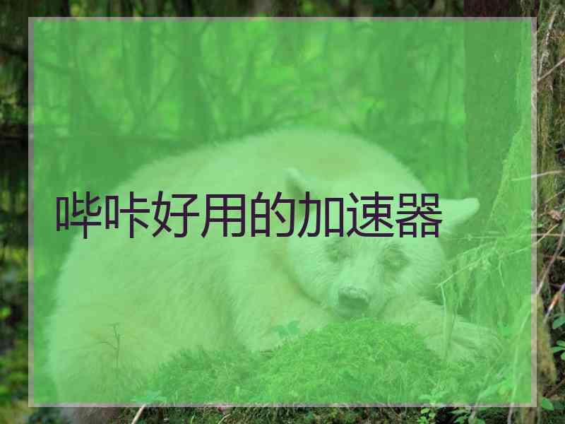 哔咔好用的加速器