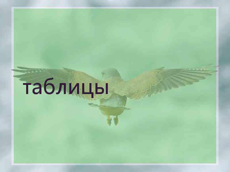 таблицы