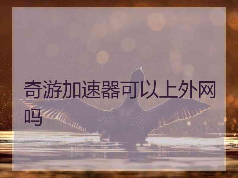 奇游加速器可以上外网吗