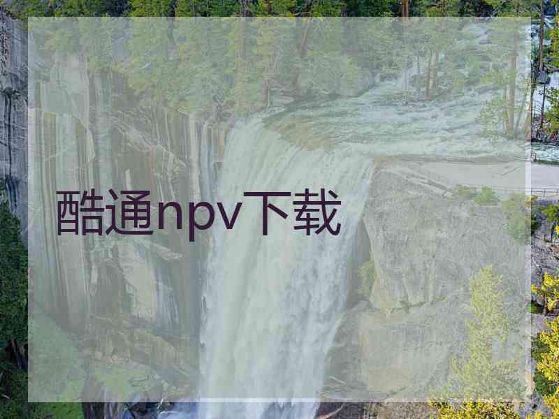 酷通npv下载